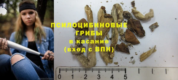 apvp Волоколамск