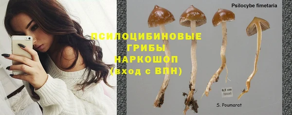 гашиш Володарск