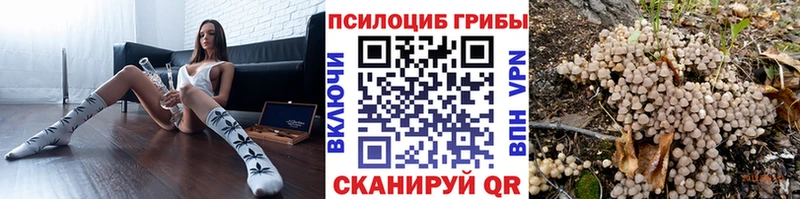 Псилоцибиновые грибы мицелий Тбилисская